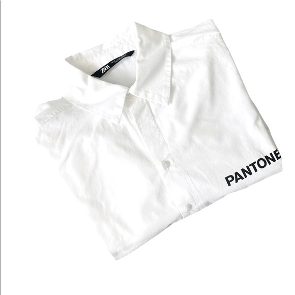 🌱 Zara x Pantone - Picture 4 of 9